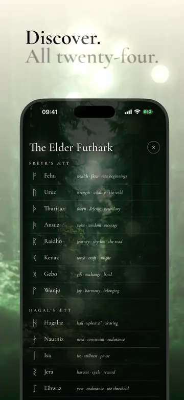 Discover. All twenty-four.