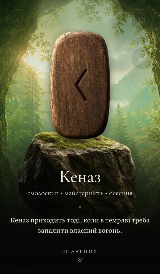 Руна дня на камені серед лісу